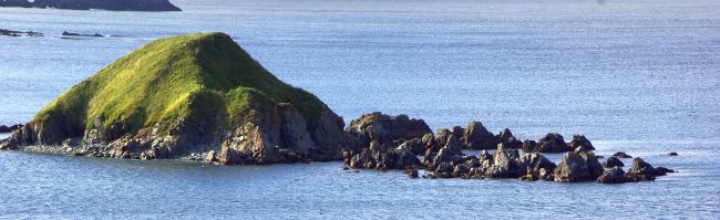 Near Ferryland