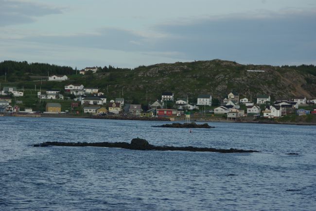 Twillingate harbour