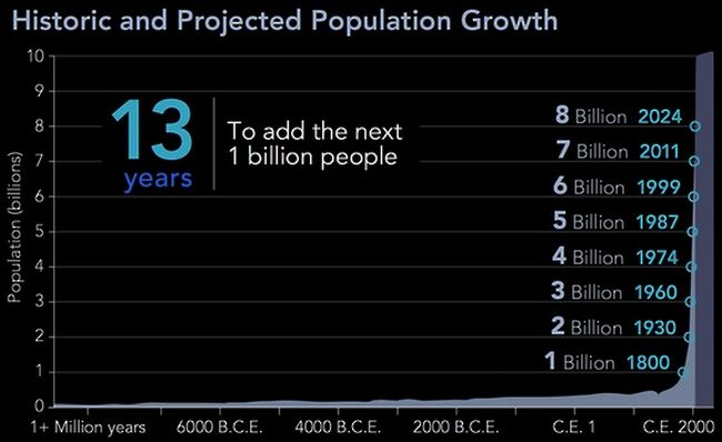 Population growth