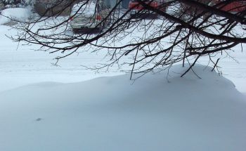 Snowfall 2011-04-20